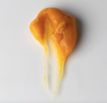 Pumpkin Potion - Enzyme Mask